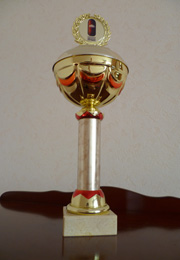 1st place in the contest "Golden Hands of Ukraine" in the nomination «MIX-MEDIA» among masters, Odessa, 2008.